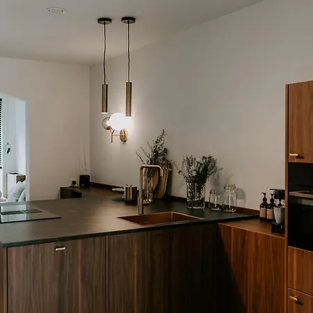 Jolie Logie Ferienhaus Nieuwpoort